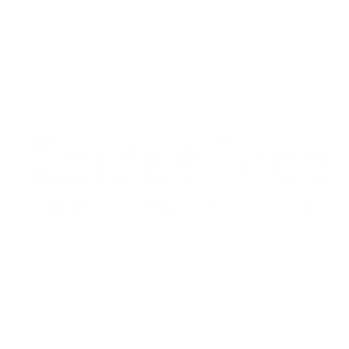 Logo Zaida Egea