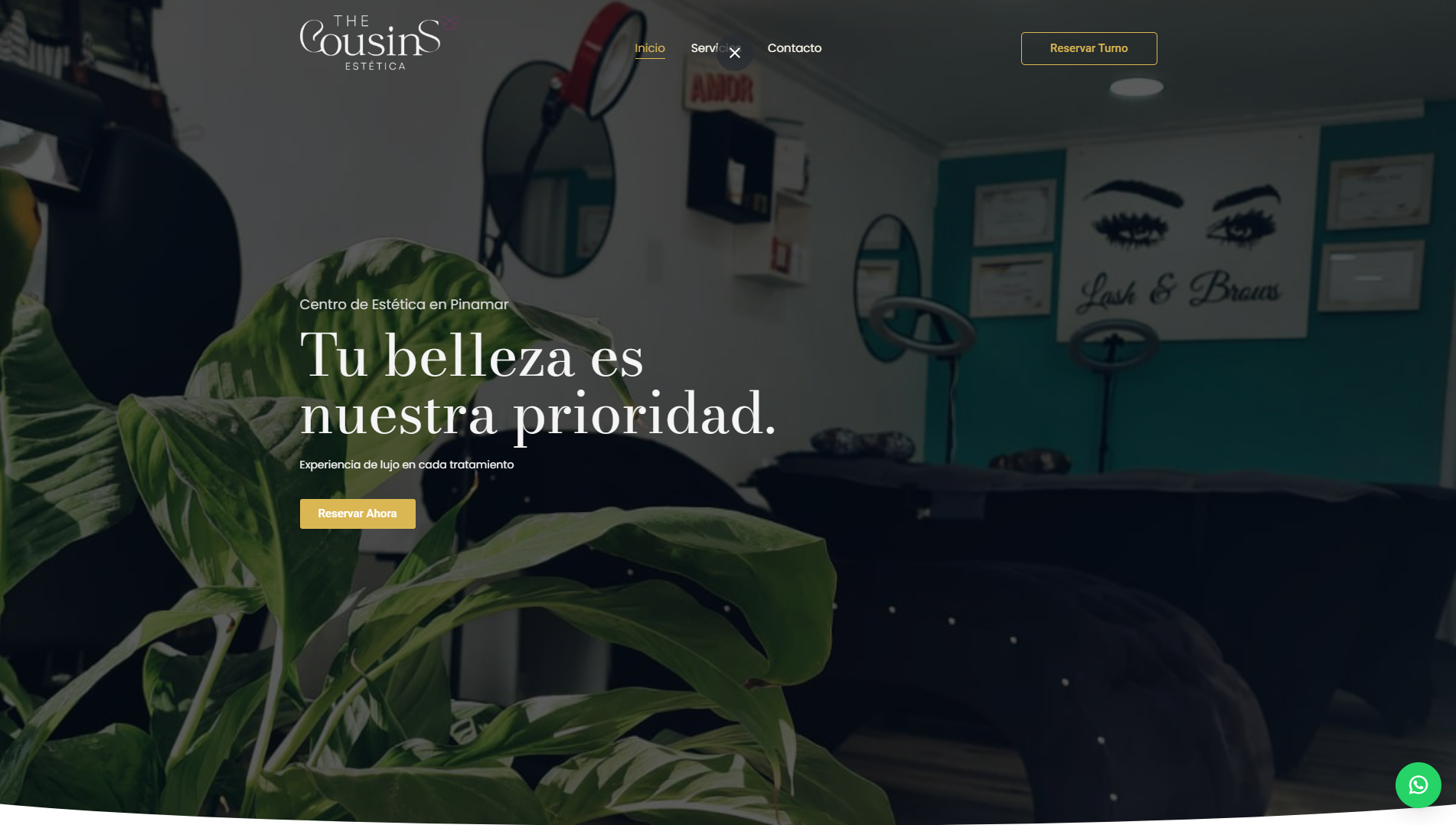 Proyecto The Cousins Estética